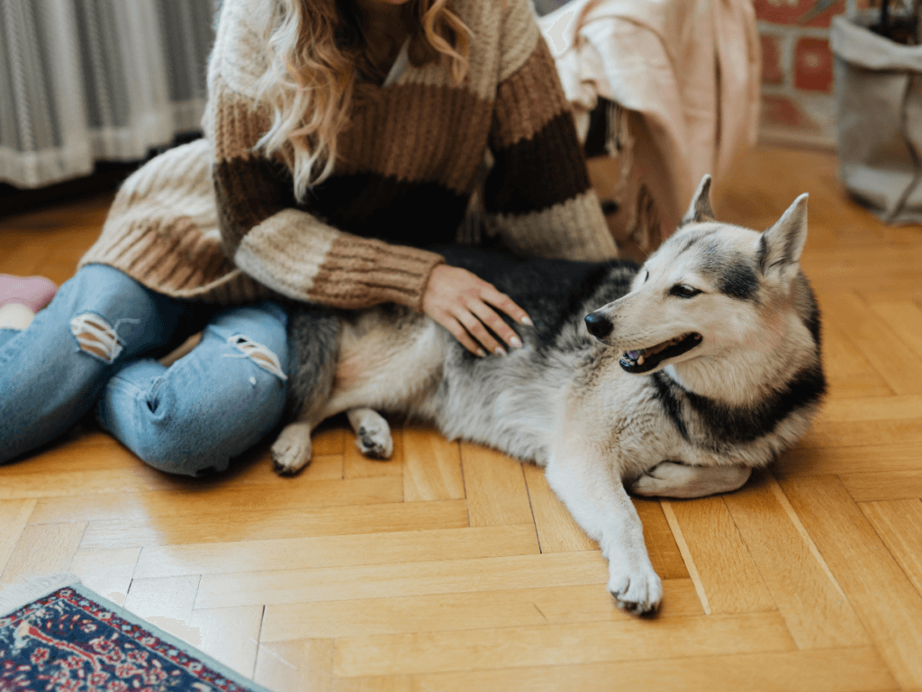 A person wearing a striped sweater and ripped jeans sits on Marietta pet flooring, petting a large black and white dog lying beside them.